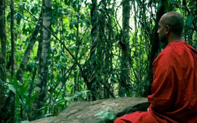Curso online meditación y atención plena